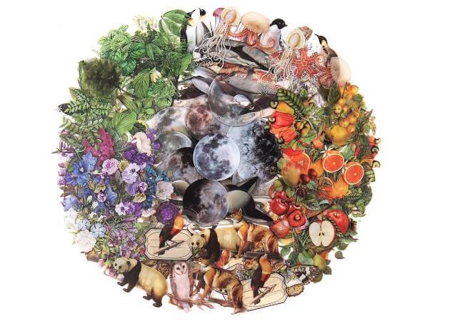 Nature Themed Transparent Pre-Cut Stickers for Scrapbooking, Pack of 240, Flora and Fauna Vintage Aesthetic Decorative Decals for Journaling Photo Album Collage Card Making Crafts